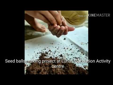 Seed Ball Making Project 🌱