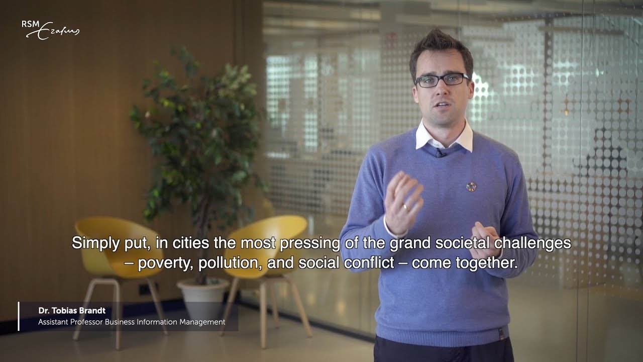 SDG 11: Insights on Sustainable Cities 🌍