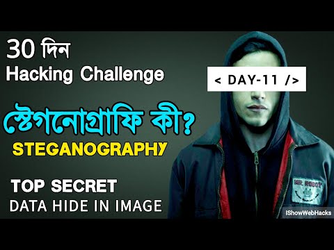 [Day-11] What is Steganography? (Hiding Data Inside Image) | ISWH