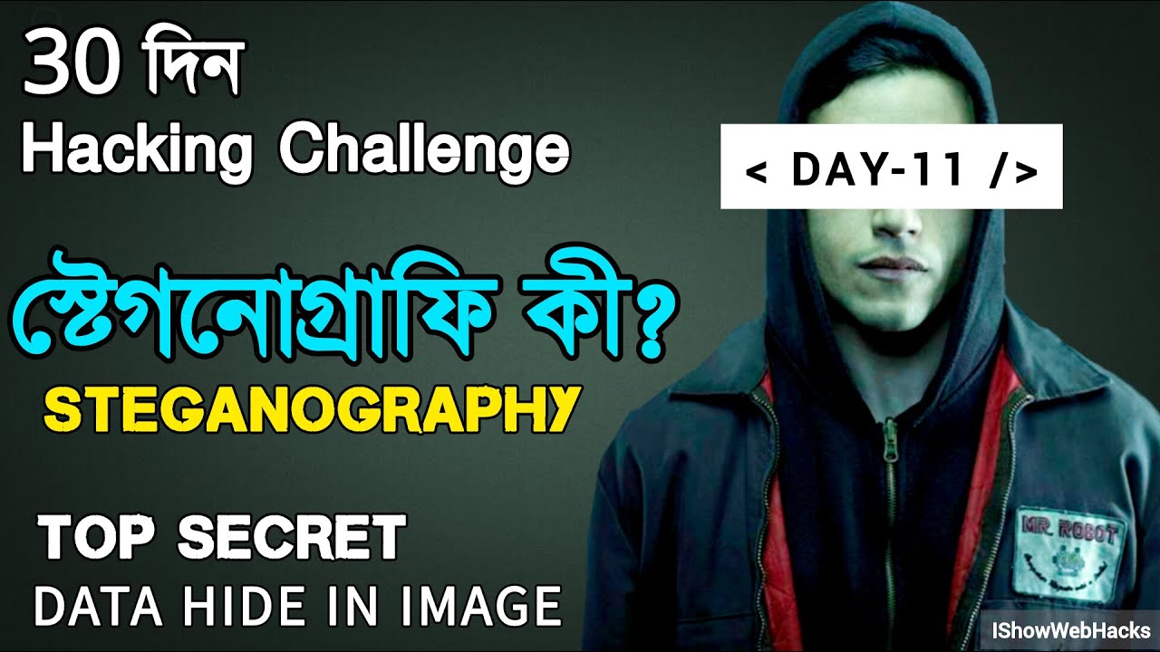 Day 11: Mastering Steganography – Hiding Data Inside Images 🔍