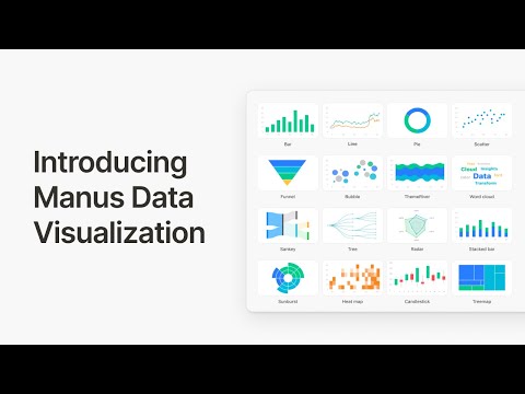 Introducing Data Visualization for Manus