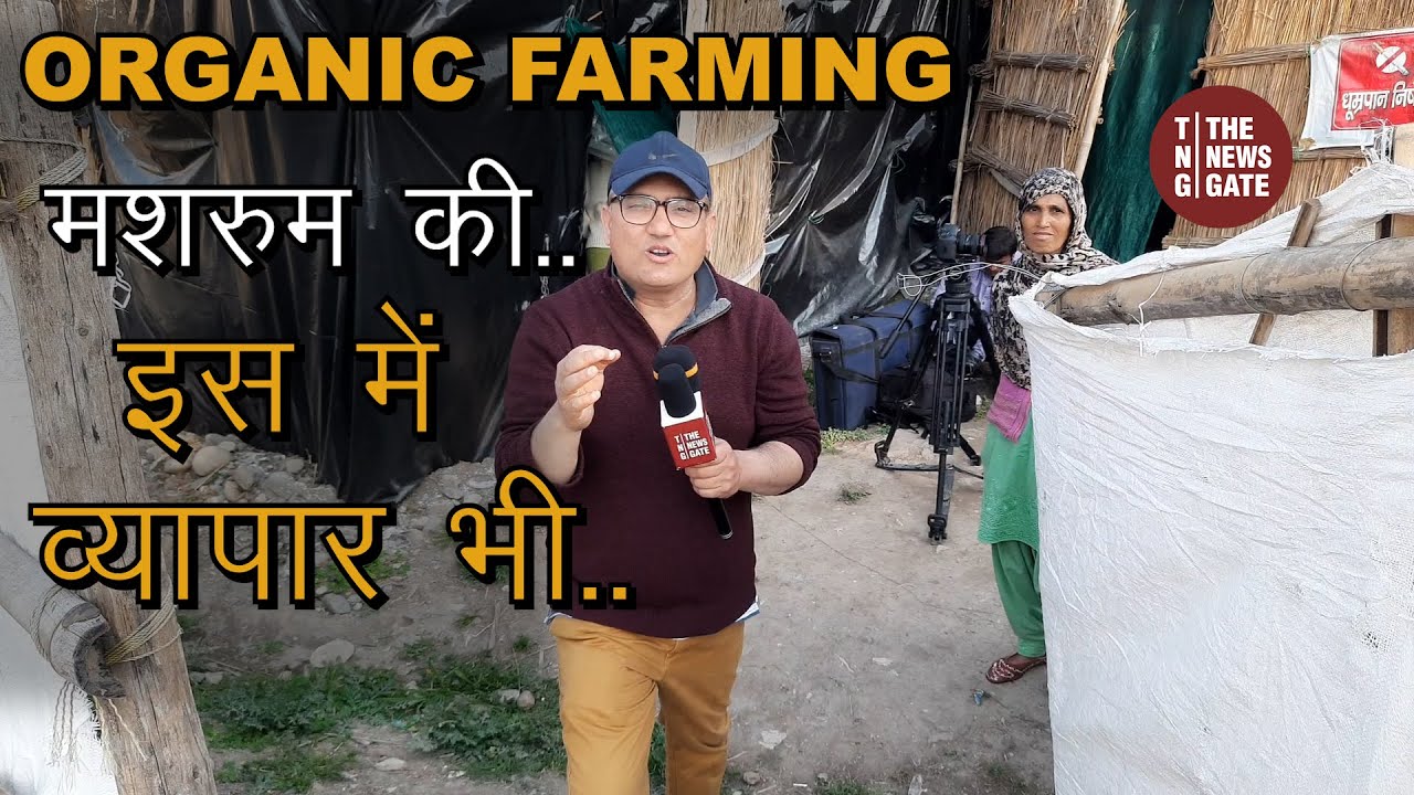 Organic Mushroom Farming in Dehradun 🍄
