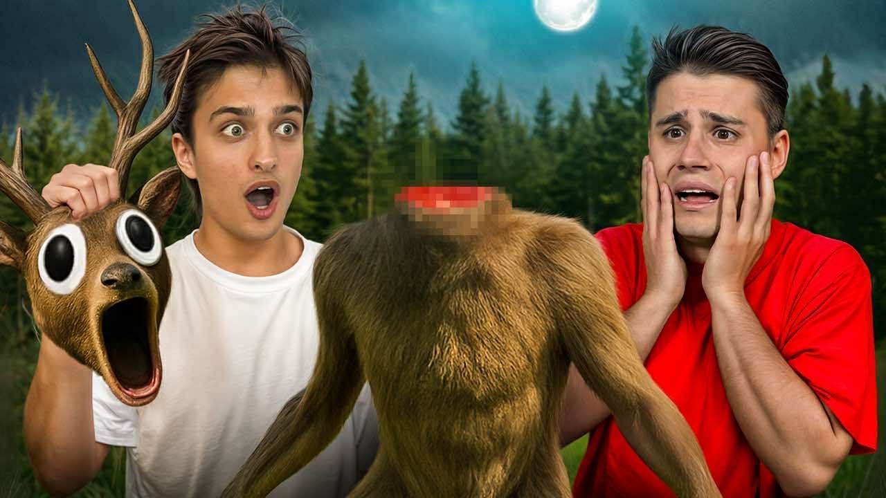 Kim jest Jeleń z 99 Nocy w Lesie? Cały film