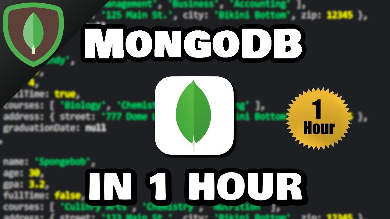 Learn MongoDB in 1 Hour π