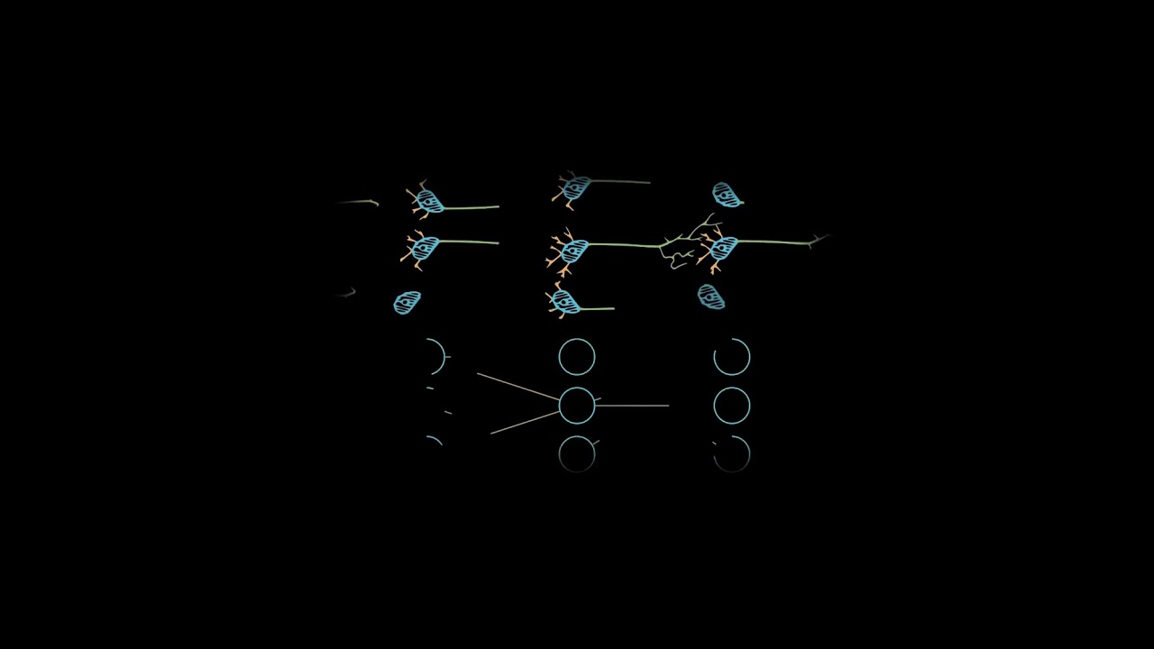Perceptron Multicouche en IA 🤖