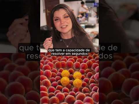 ALAGOAS NA MIRA DA COMPUTAÇÃO QUÂNTICA