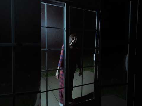 #themandelacatalogue #mandelacatalogue #scary #horror #analoghorror #doppelgänger #alternate