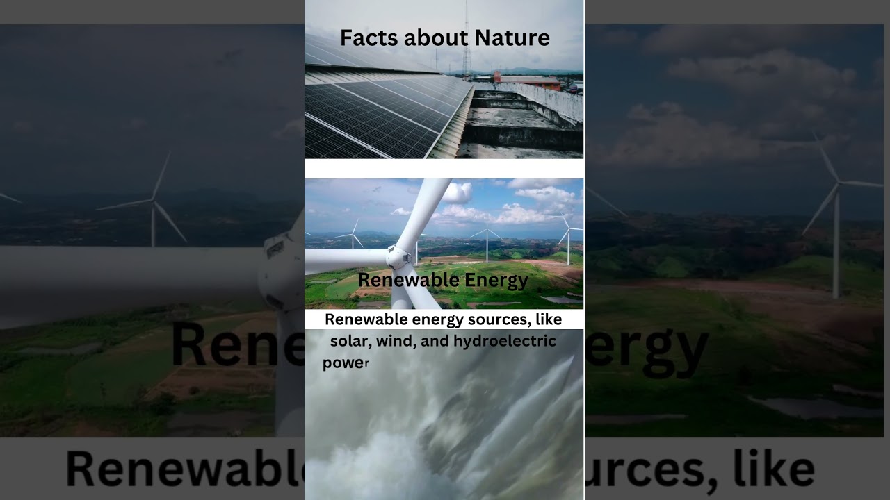 Renewable Energy Facts 🌱