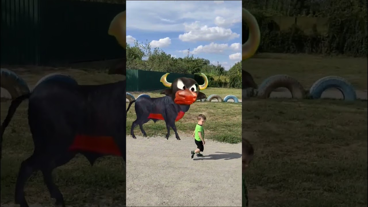 Boi da Cara Preta: The Fascinating Story Behind the Legend