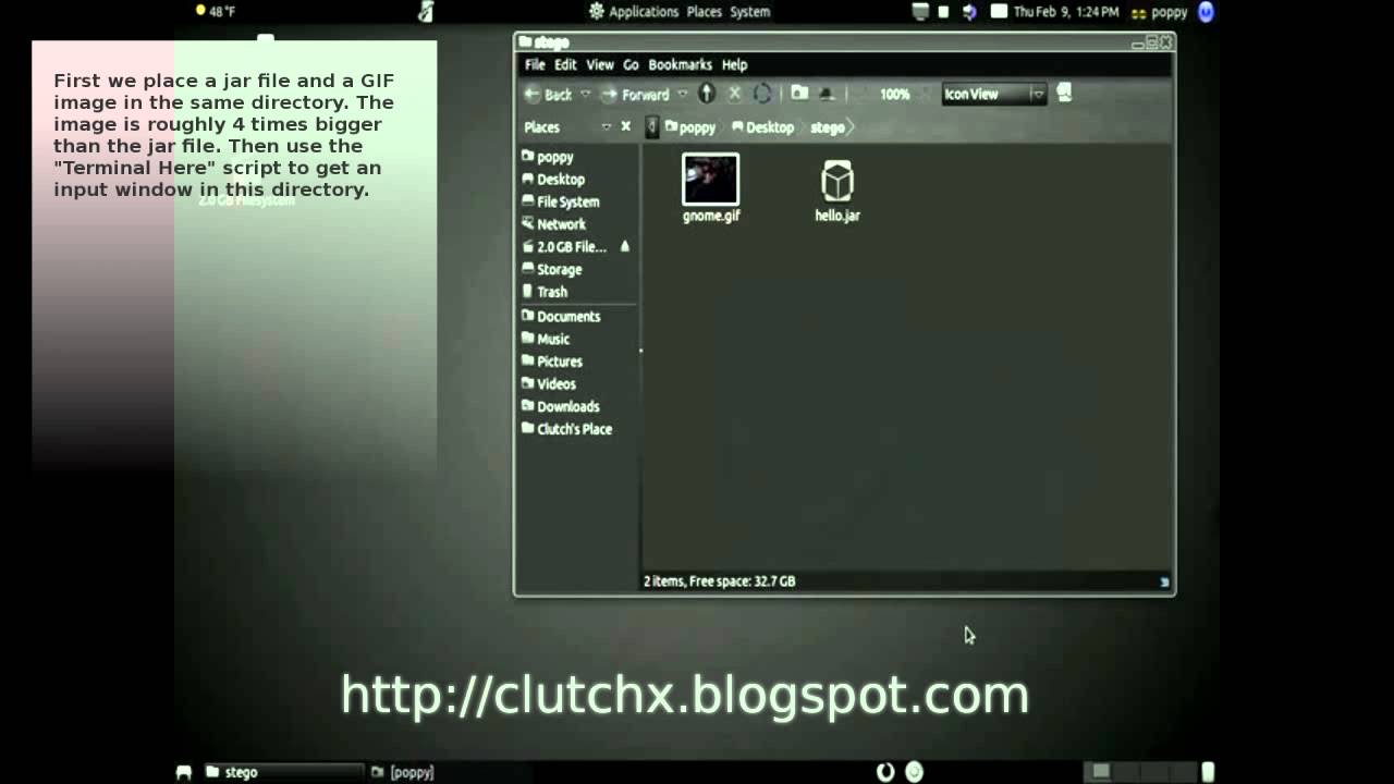 Simple Guide to Steganography on Linux: Hide and Execute Files π