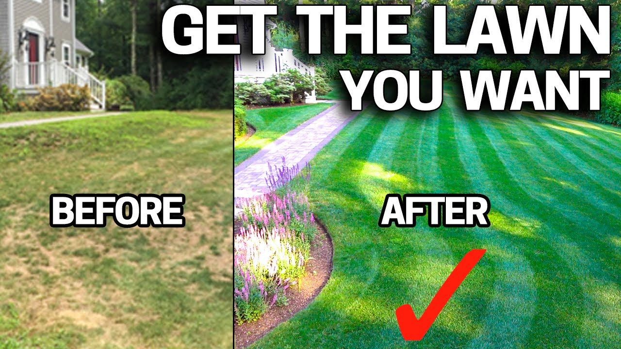 Transform Your Ugly Lawn into a Gorgeous One: Easy Step-by-Step Guide for Beginners 🌱