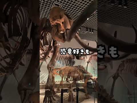 国立科学博物館は子連れに最高！ #子育て #育児 #ライフハック #旅行 #お出かけ #博物館 #室内遊び #shorts