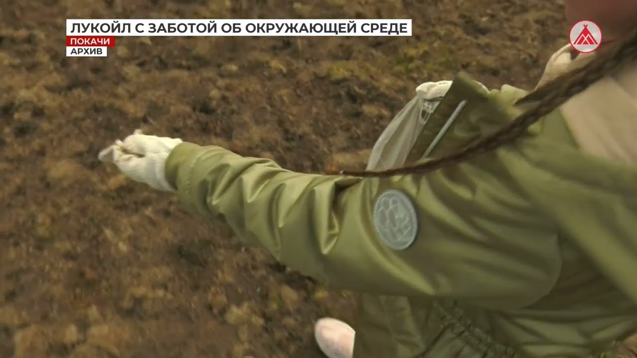 ЛУКОЙЛ заботится об окружающей среде 🌱