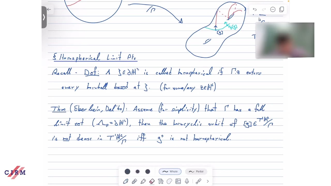 Topology of Horocyclic Flow on Geometrically Infinite Surfaces - Part 2