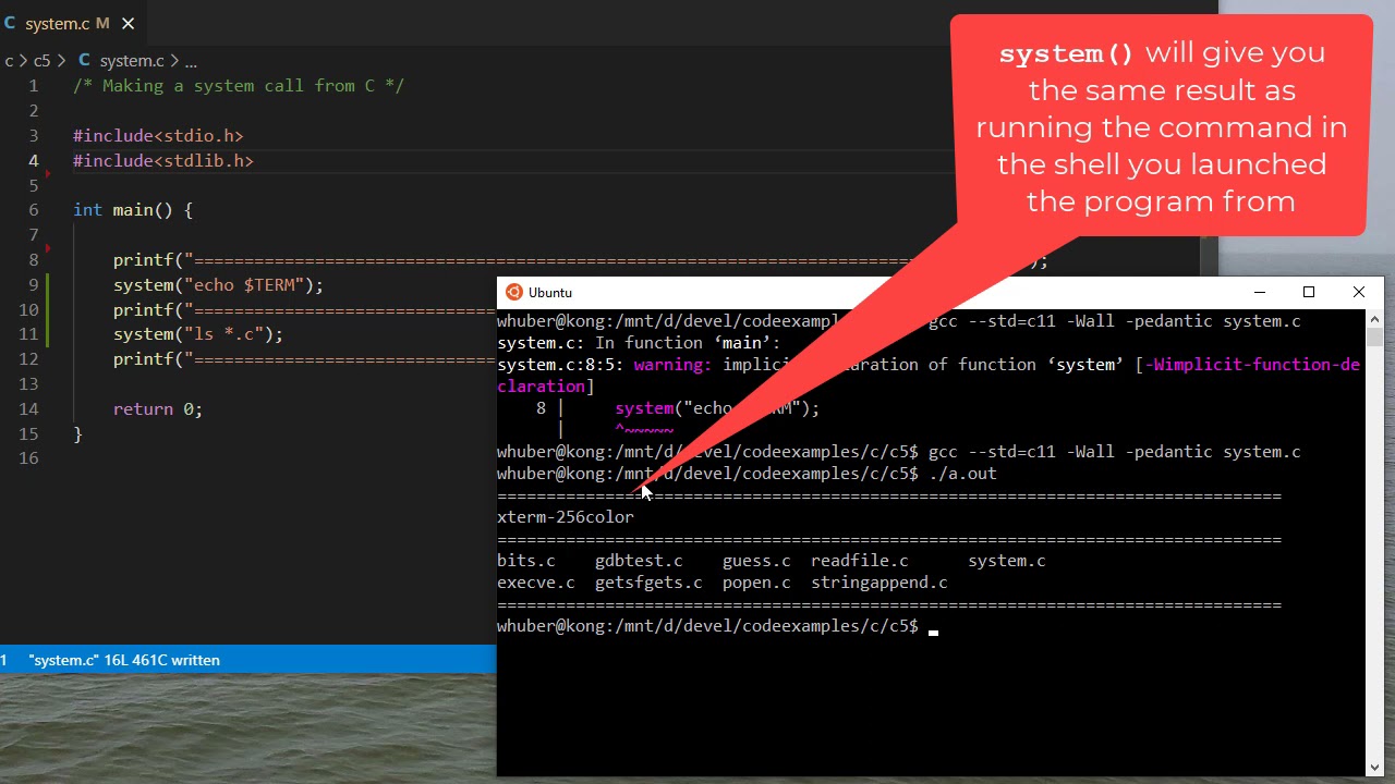 Understanding C's system() Function ๐ฅ๏ธ