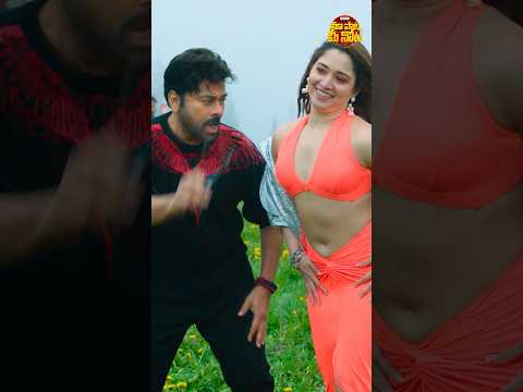 #MilkyBeauty |Bholaa Shankar|Chiranjeevi,Tamannaah |Meher Ramesh|Mahati Swara Sagar #maapaatameenota