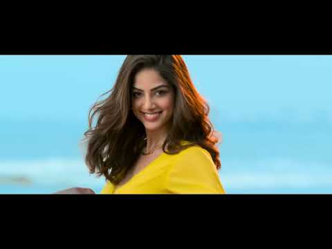 Baaghi 4 original movie in  Urdu 