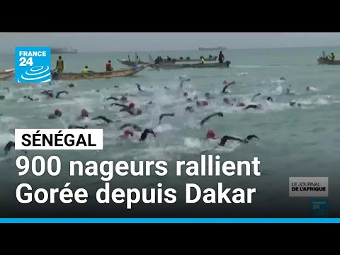 Sénégal : 900 nageurs rallient l'île de Gorée depuis Dakar • FRANCE 24