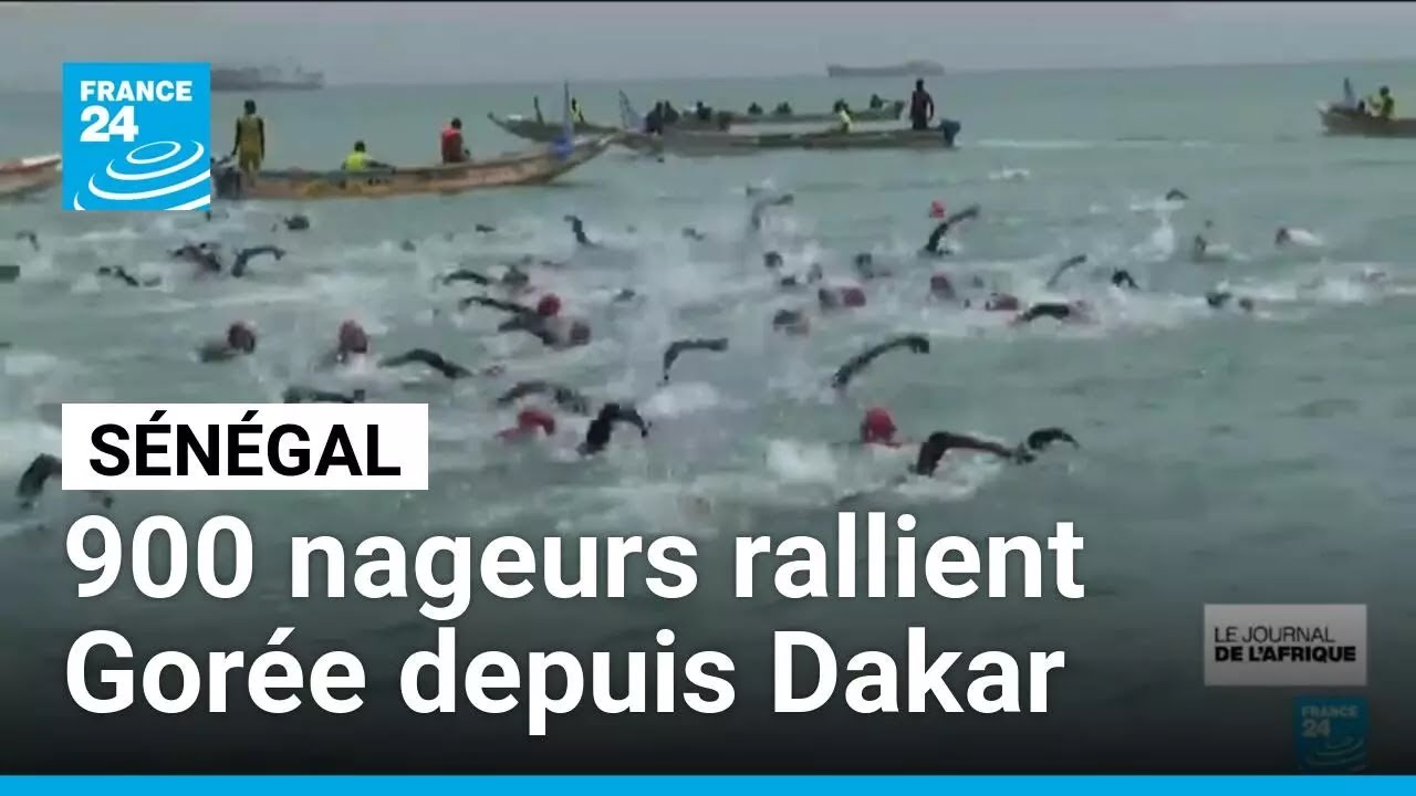 900 Nageurs Participent à la Traversée de Gorée à Dakar 🏊‍♂️