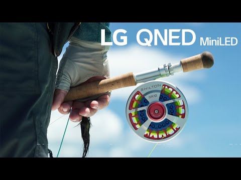 LG QNED MiniLED : Farquhar 60fps | LG