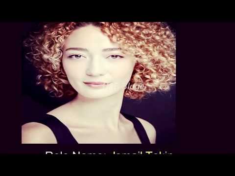 Main Ayesha Gull Real Cast with Detail their Persnal life 2020