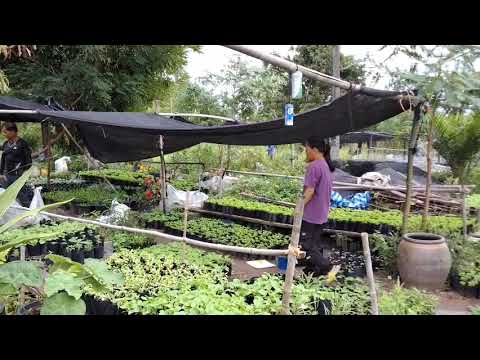 Best Rock Song Of All Time 70s 80s 90s (SLOW ROCK LOVE SONG) 📀🎸❤️