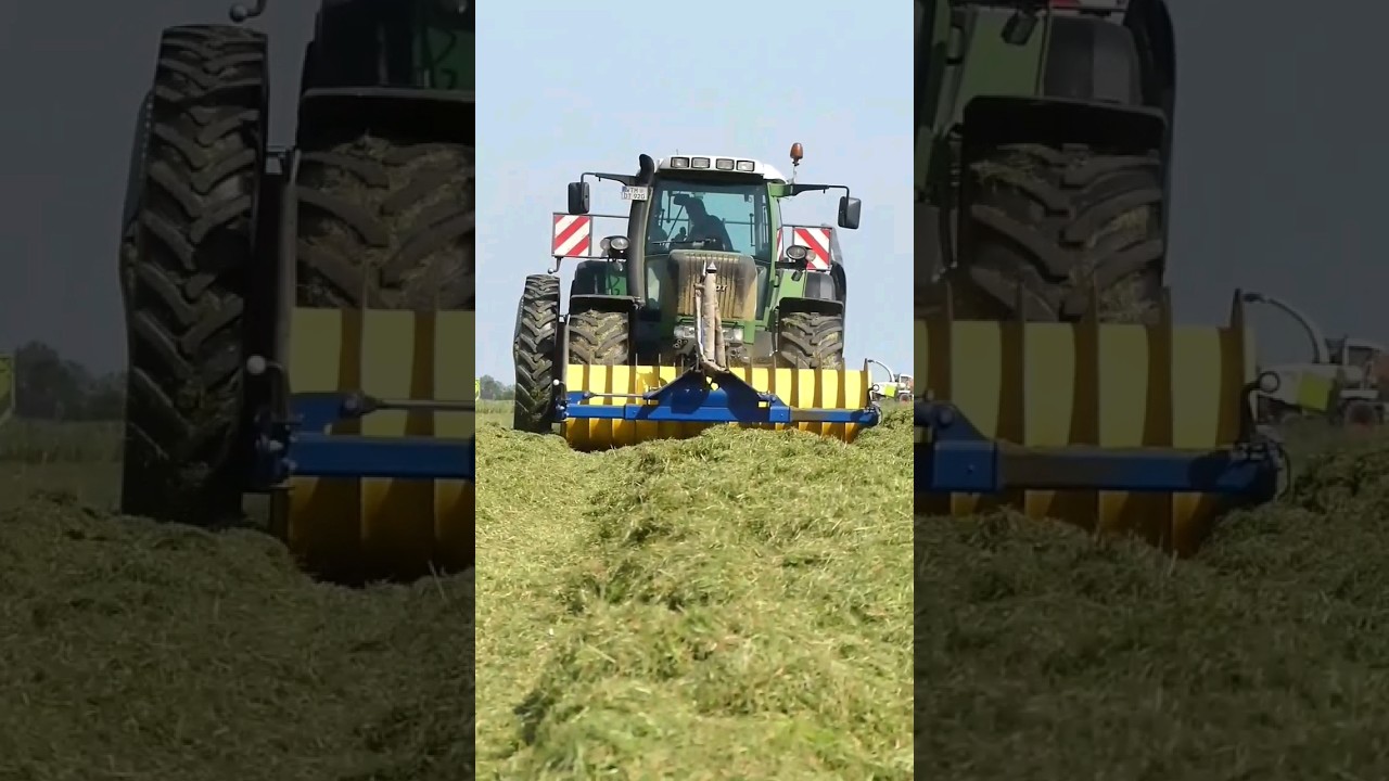 Ostfriesland Grasernte mit John Deere & Fendt 🚜