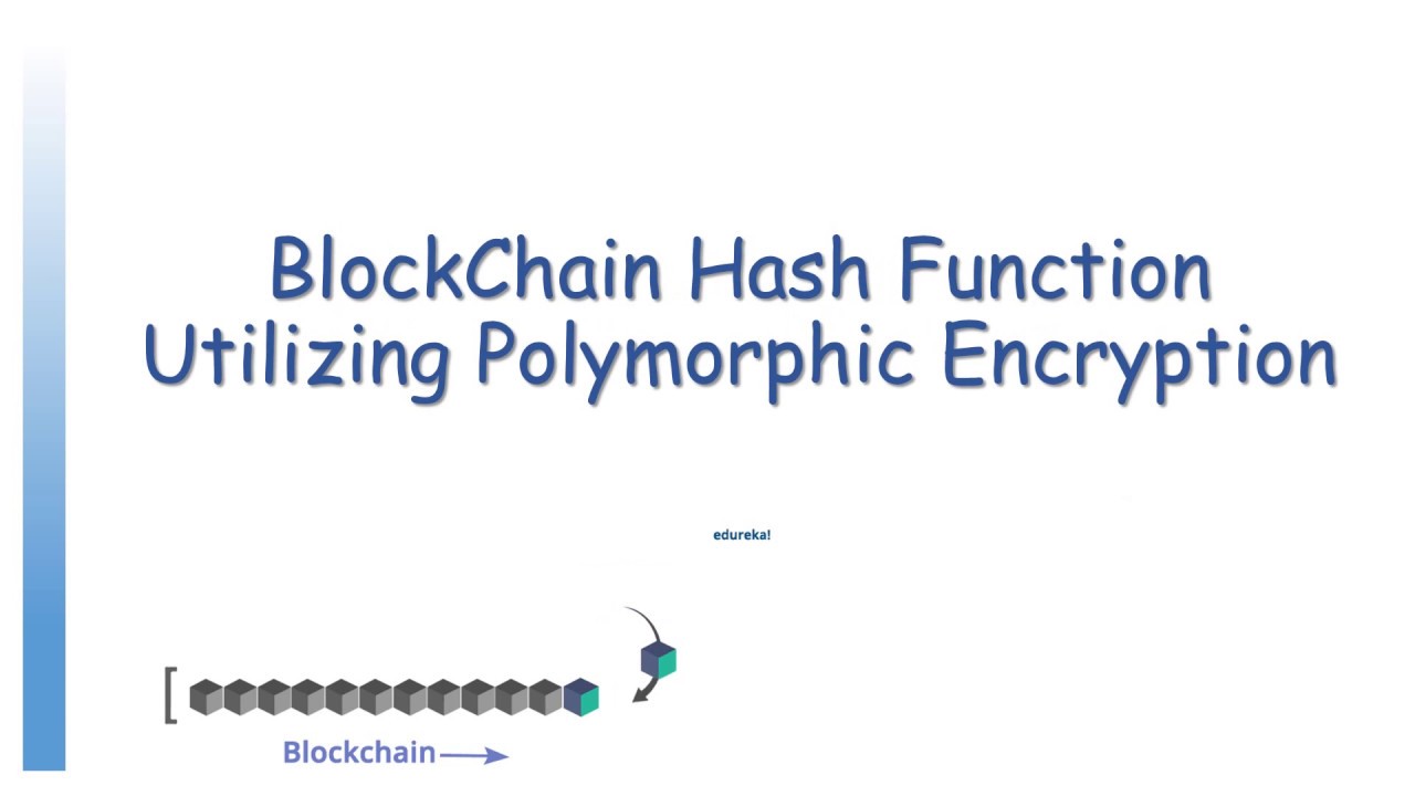 Revolutionizing Blockchain Security with Polymorphic Encryption π