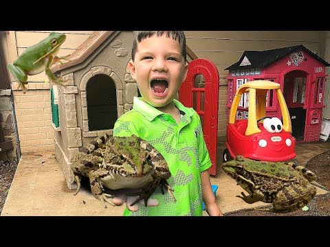 Caleb Play Outside With FROGS and Bugs Pretend Play!