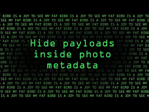 EXIF TOOL - HIDE PAYLOAD IN IMAGE