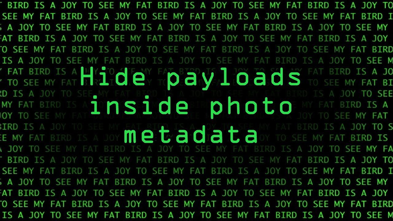 How to Hide Payloads in Images Using EXIF Tool ๐ผ๏ธ