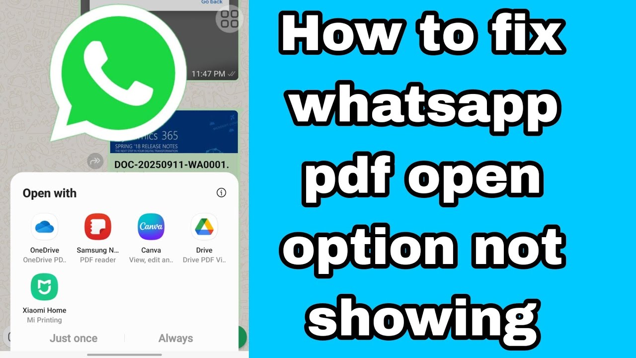How to Fix WhatsApp PDF Open Option Not Showing Issue (2025)