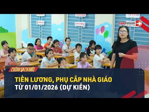 Dự Kiến Tiền Lương, Phụ Cấp Nhà Giáo Từ 01/01/2026 Sẽ Thế Nào? | LuatVietnam.vn