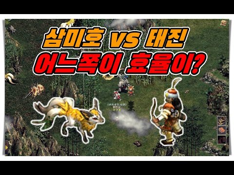 [거상] 지국천왕 삼미호 vs 태진 효율 비교 🔍