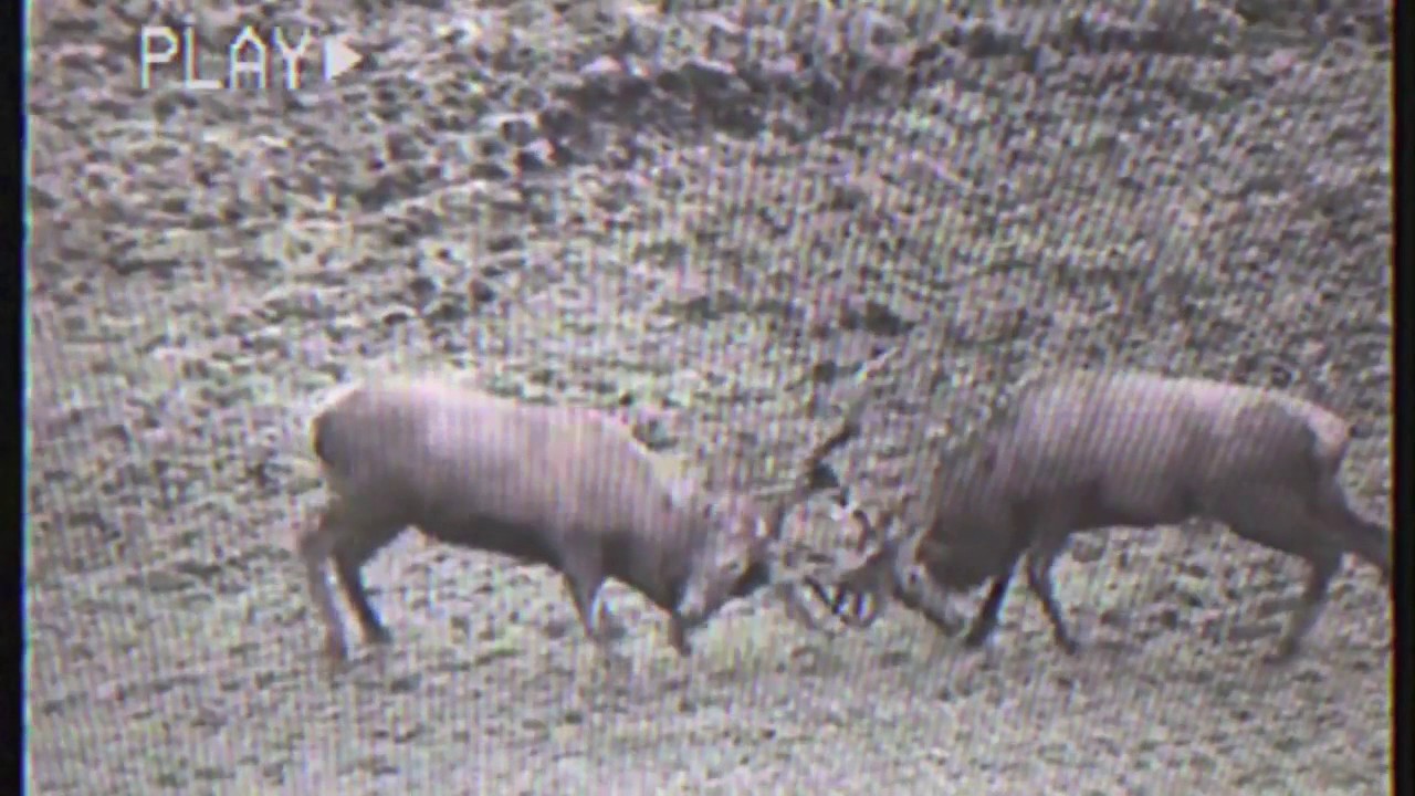 FRAKSHA, Alex Jones & Scotty Hinds - Together (Video) 🎶