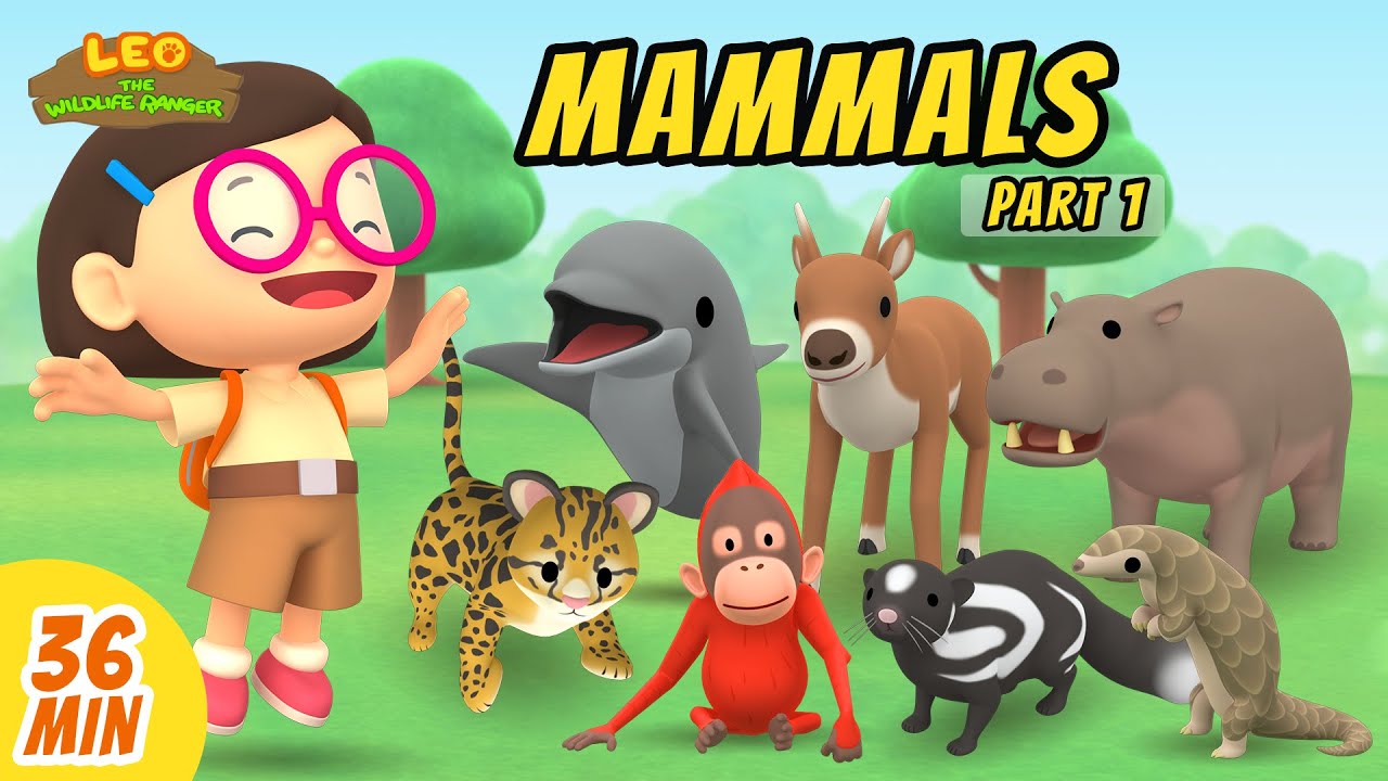 Mammals Minisode Compilation (Part 1/5) 🦁 | Leo the Wildlife Ranger