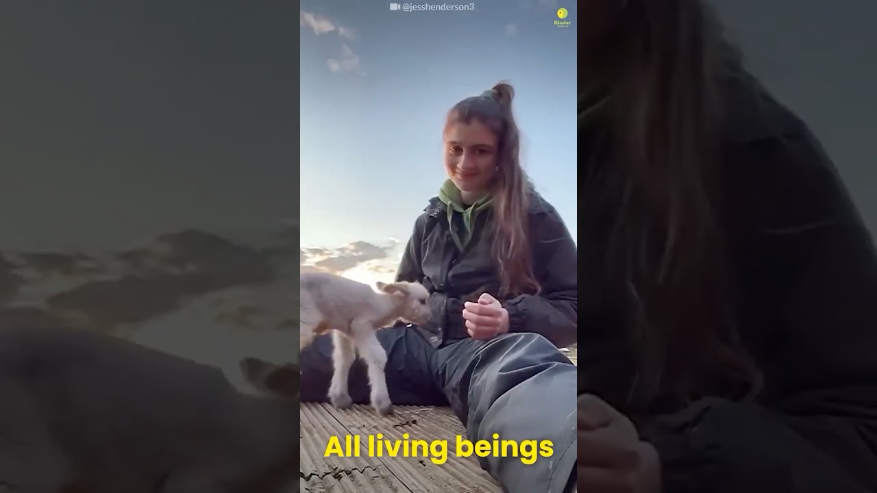 Animals Showing Pure Love & Cuddles ❤️