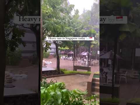 Singapore weather today.Heavy rain 🌧️. #rainydays #singaporeweather