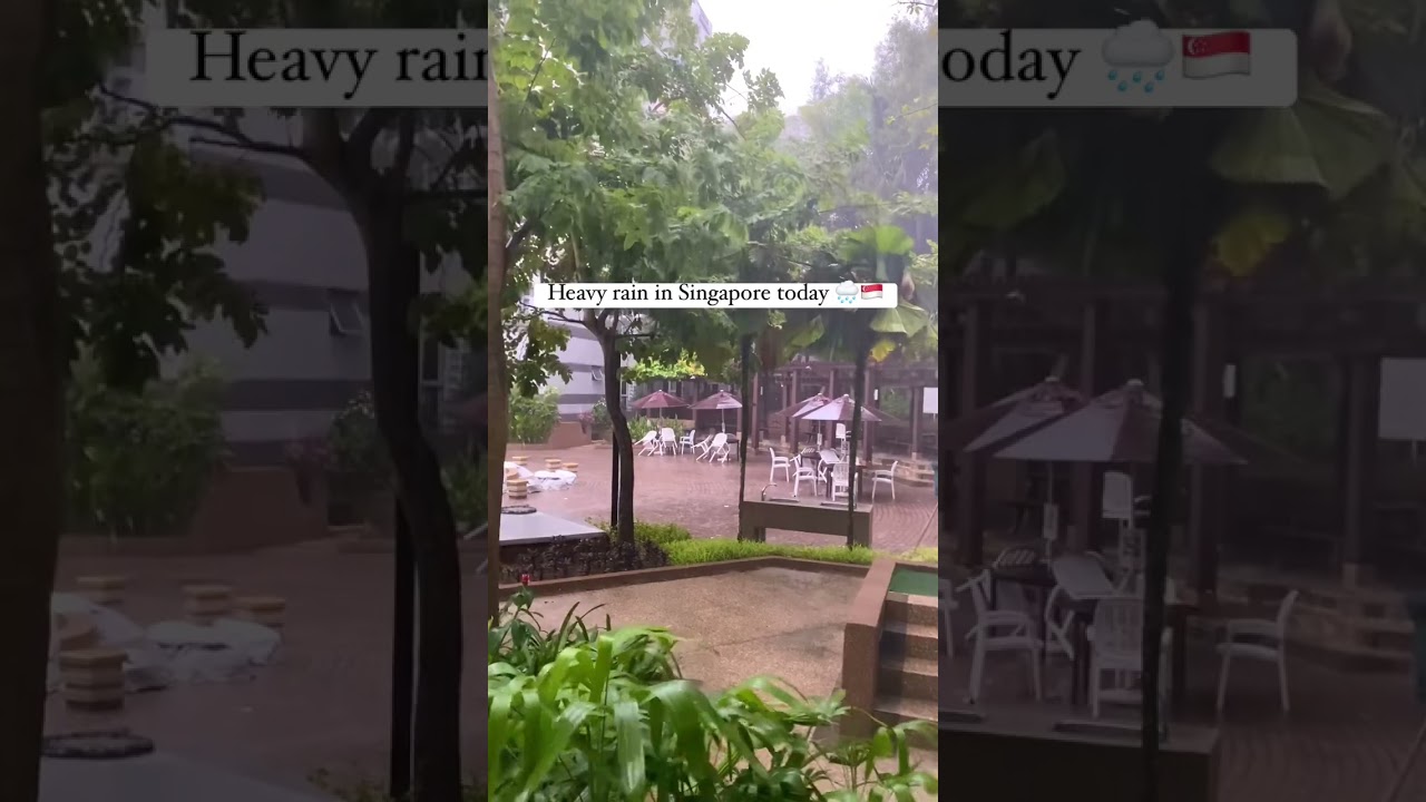 Singapore Weather Today: Heavy Rain ☔️