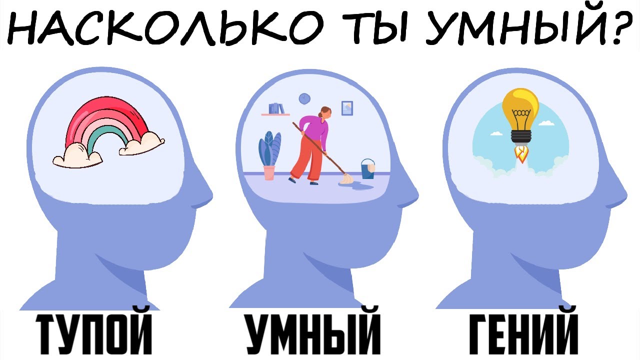 Быстрый IQ-тест: проверь свой интеллект 🧠