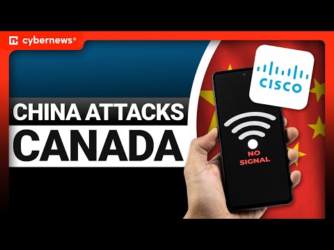 Signal Phishing, WhatsApp Ban & AI Fair Use | cybernews.com