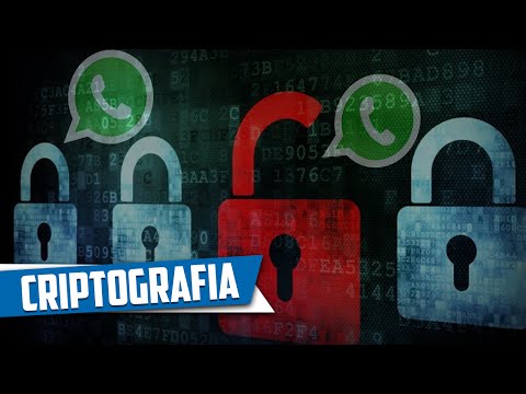 Criptografia de Ponta a Ponta no WhatsApp - O que é? Como funciona? Como ativar?