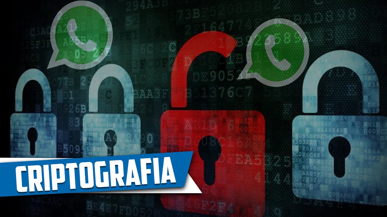 Criptografia de Ponta a Ponta no WhatsApp: Como Funciona e Como Ativar 🔒