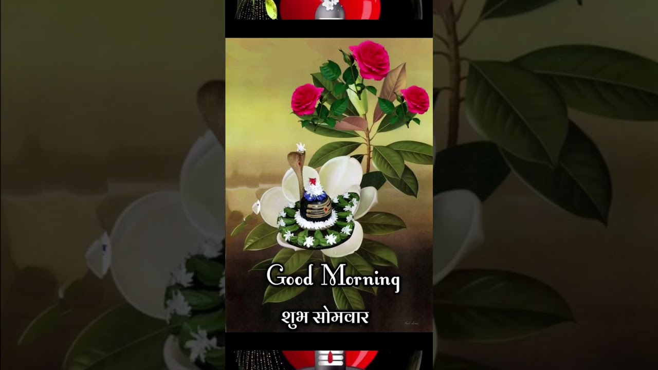 Good Morning Shiv Shankar 🙏