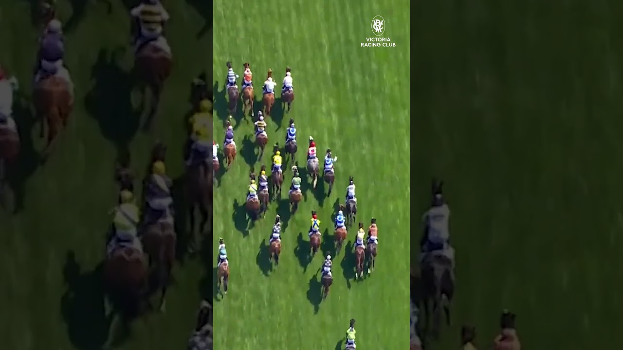 Can You Guess the Melbourne Cup Winner? 🏆