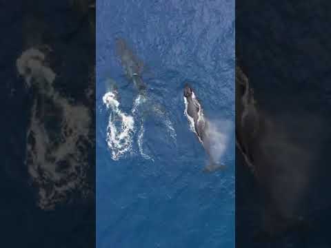 4189 Understanding 4189 51424: Key Insights