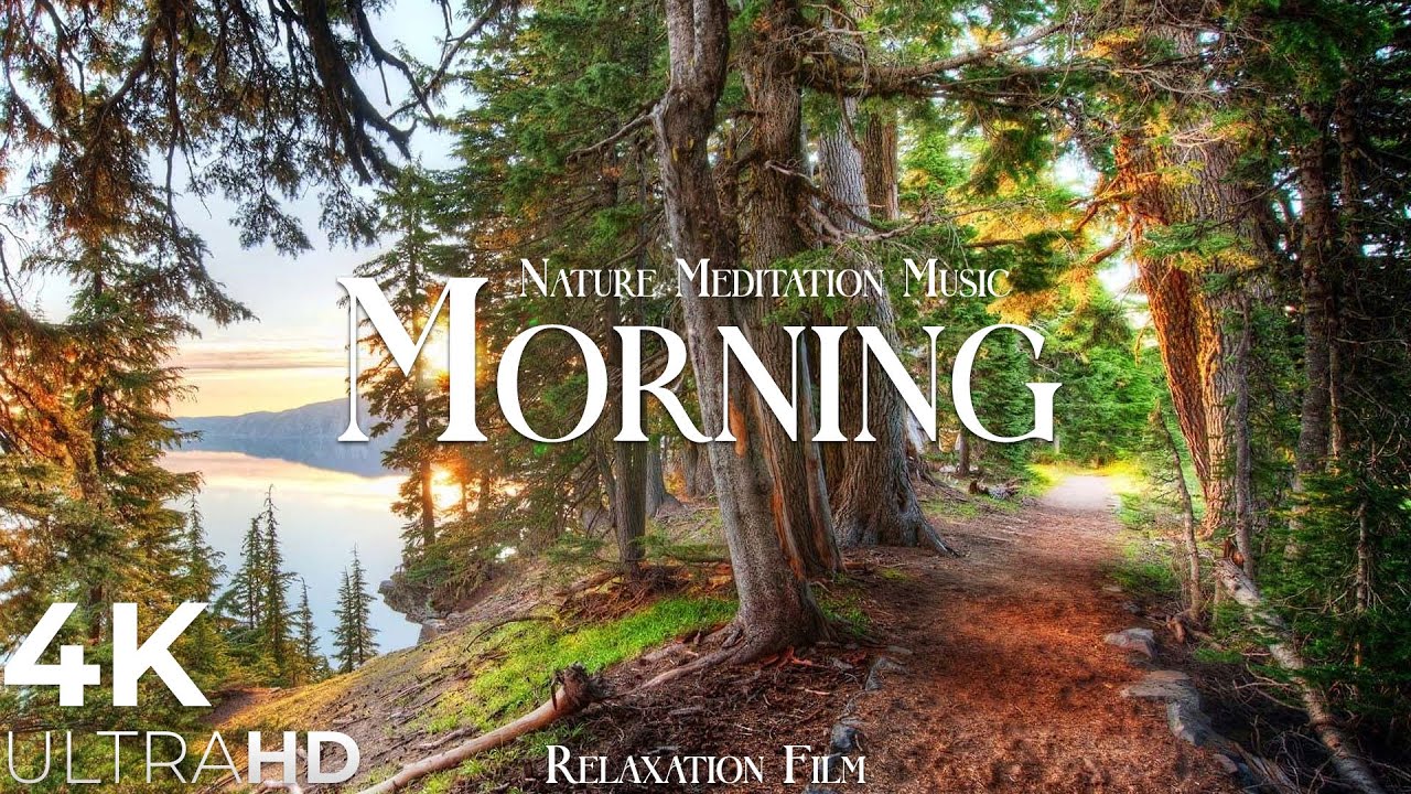 Morning Nature Relaxation in 4K 🌅