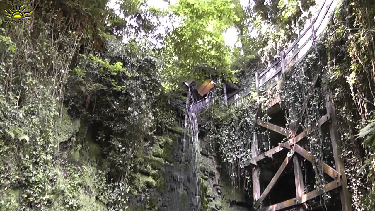 Best Travel Deals & Promo Codes ๐