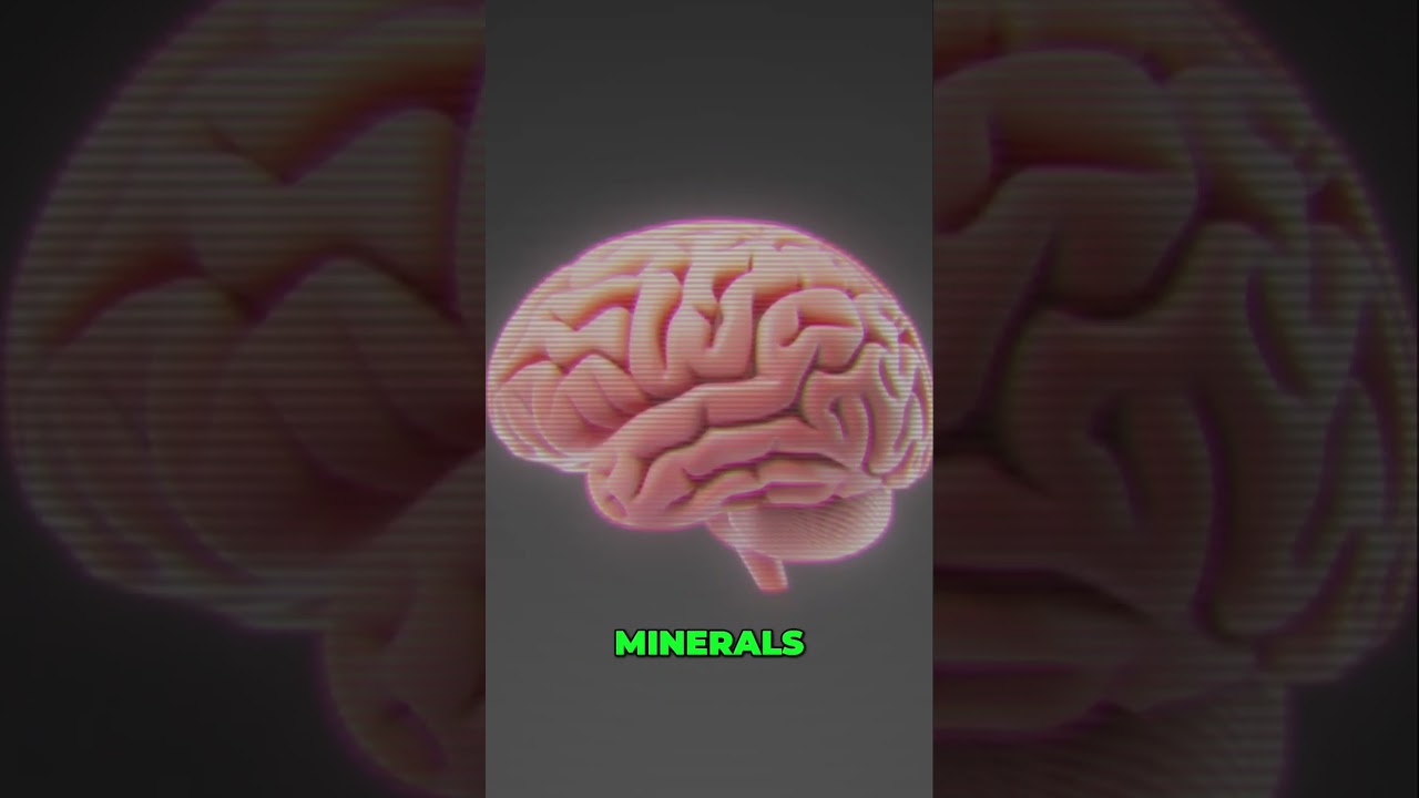 Brain Fuel: Nourish Your Mind for Peak Performance 🧠