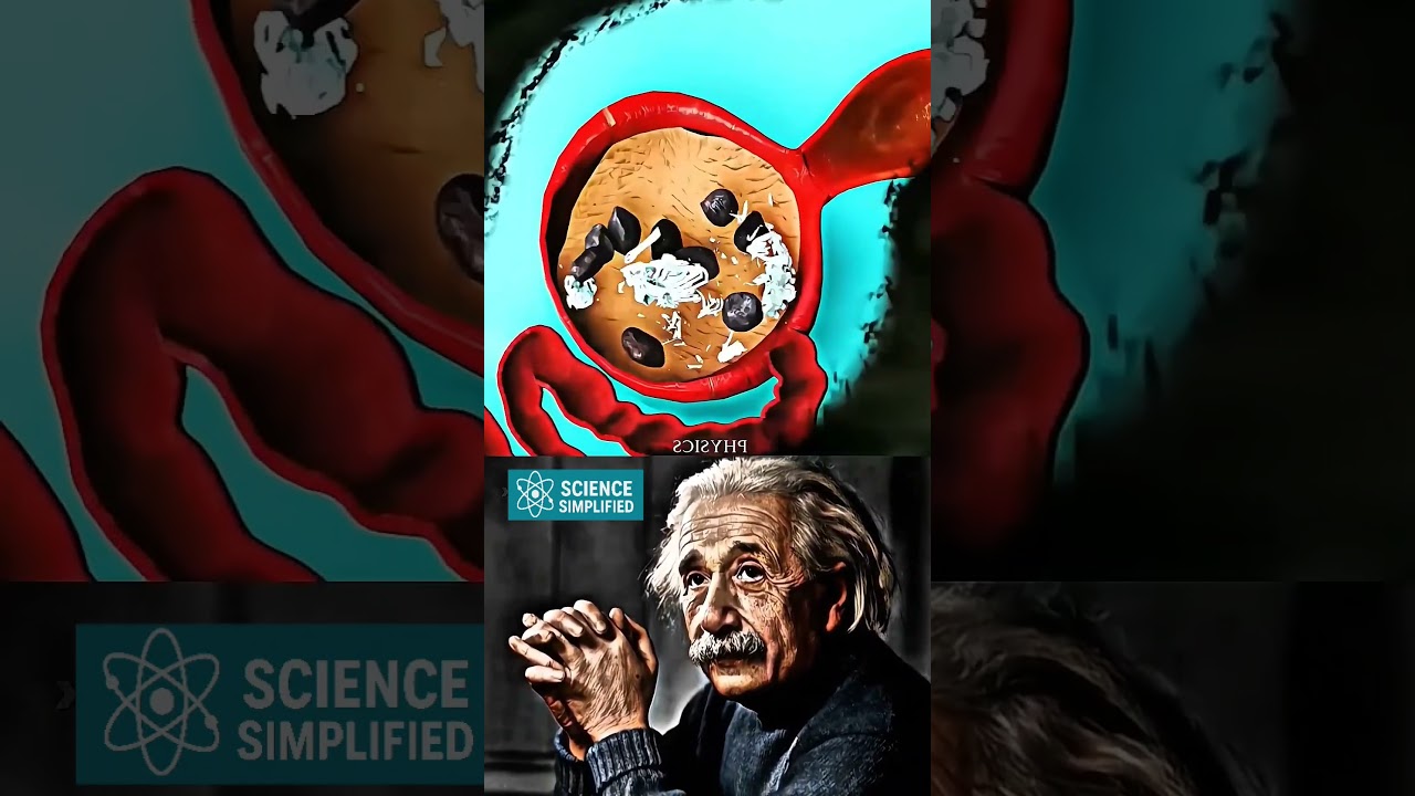 Legendary Sigma Physics Teacher Lesson ⚛️